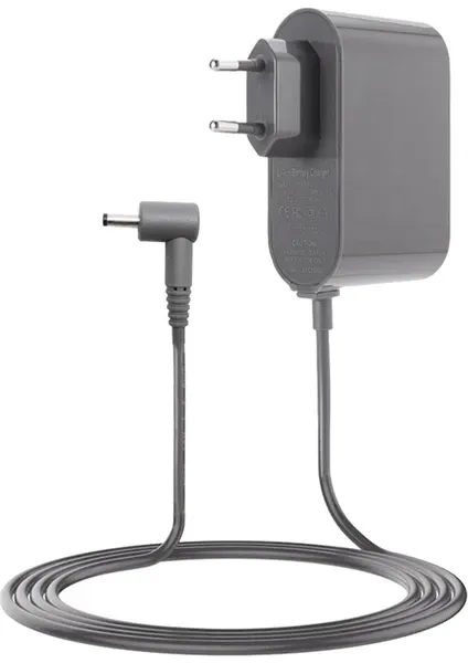 Dyson Sv18 Sv15 Elektrikli Süpürge Uyumlu Şarj Cihazı Adaptör 21.75v / 1.1 A